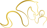 https://dierapie.nl/wp-content/uploads/2025/04/logo-klein.png